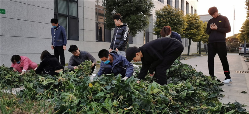 國凱集團抗疫風采-為業主提供愛心菜